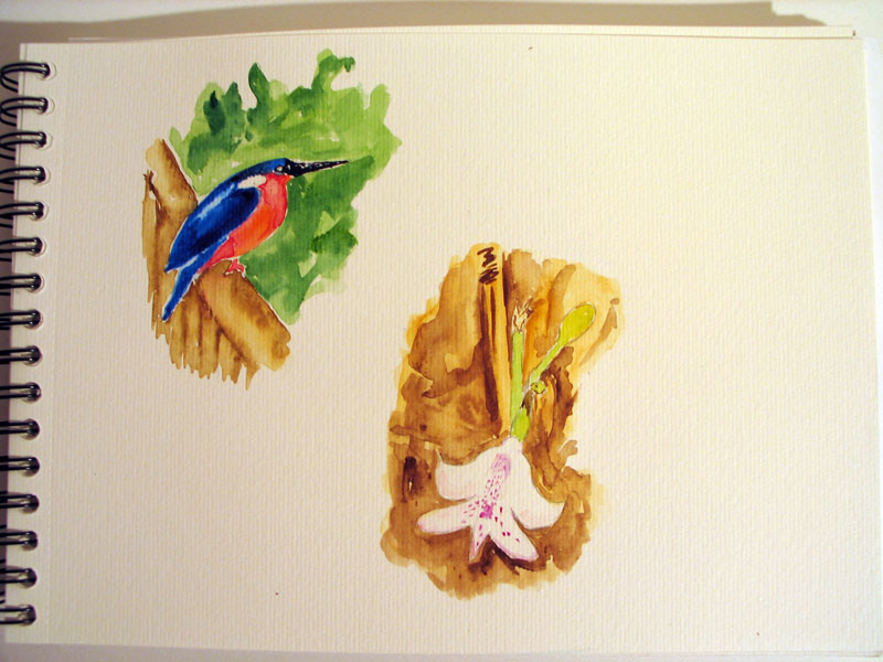 Martin-Pecheur et Orchidee